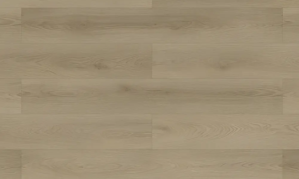 Zenkl Pro | 艾斯傑格
